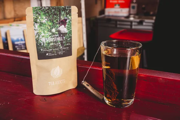 NORDEN Festival 2026